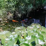 Con Jardin En Un Chale 公寓 *