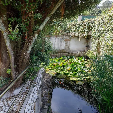 Apartment Con Jardin En Un Chale *