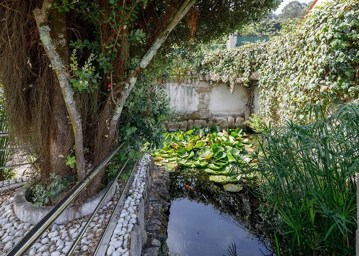 Apartment Con Jardin En Un Chale *